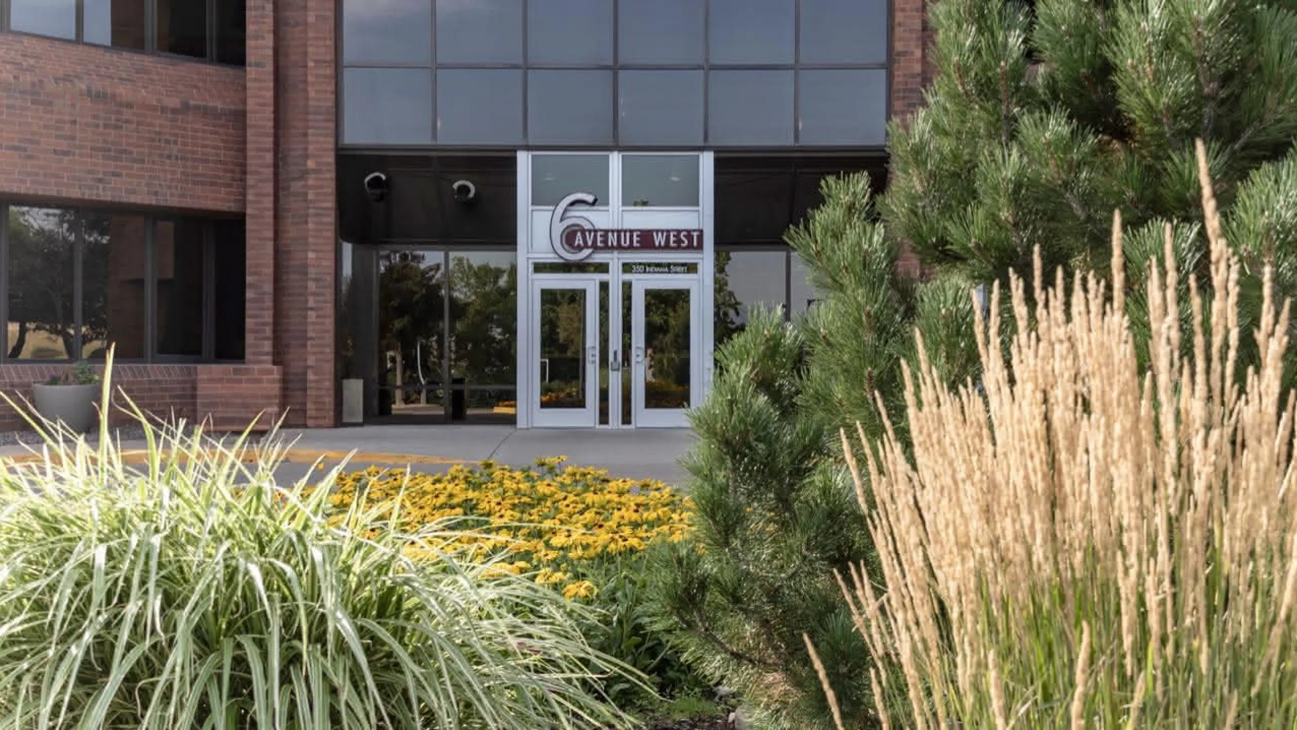 The office in Golden, CO from behind plants