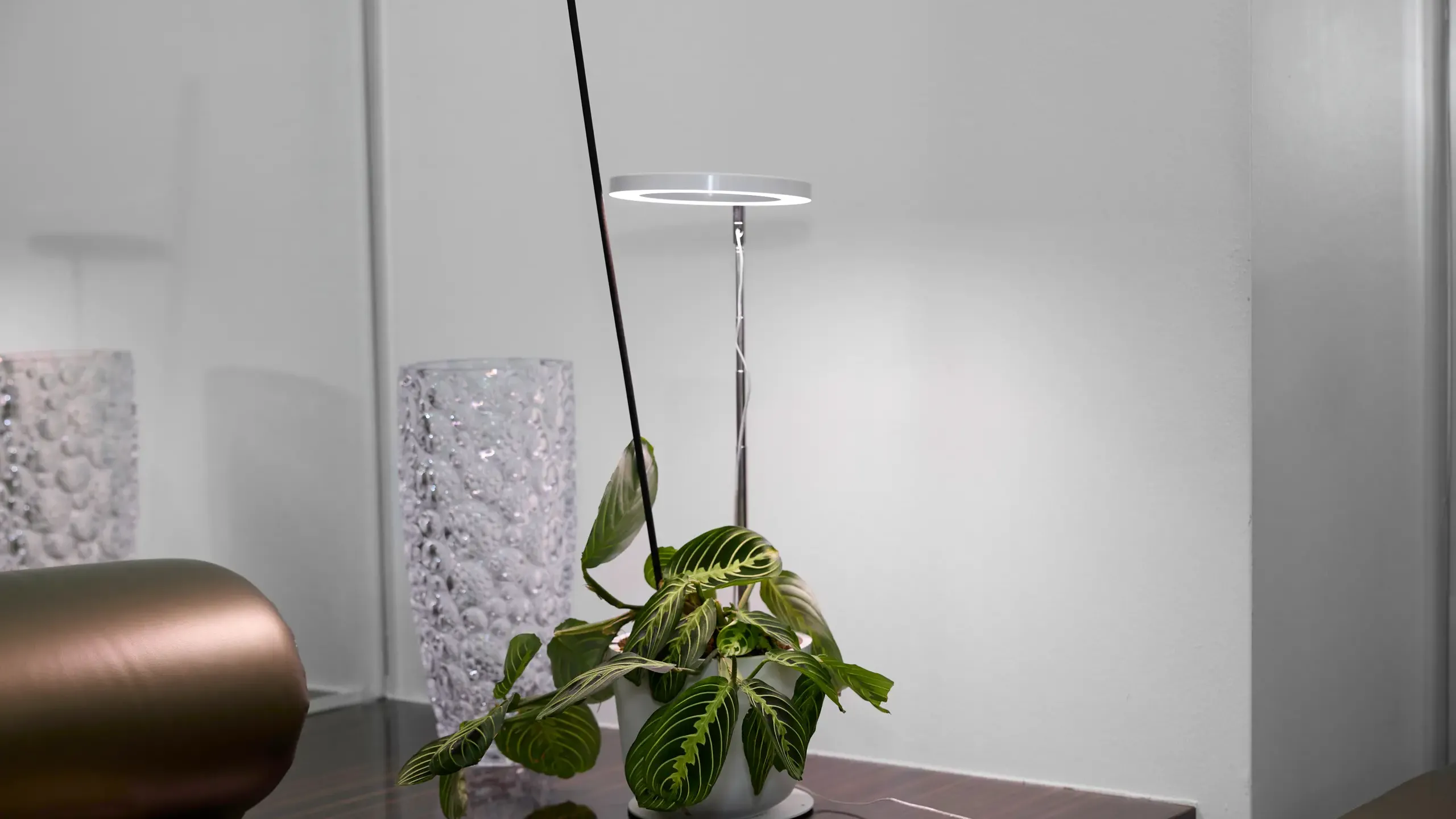 A plant in a white pot with a light above it