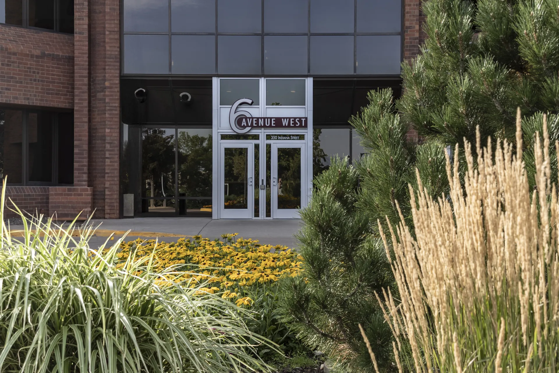 photo of golden office outside