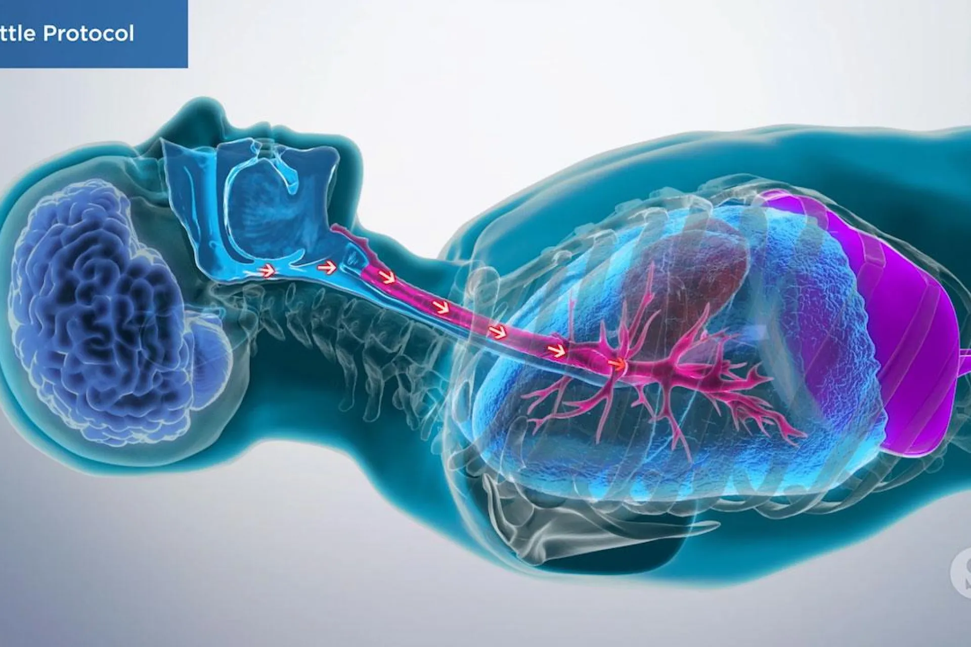 A video still - Seattle Protocol with an image showing a person laying down and the airflow coming in.