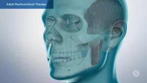 A video still - Adult Myofunctional Therapy with an image showing the anatomy of the skull, jaw, and teeth.