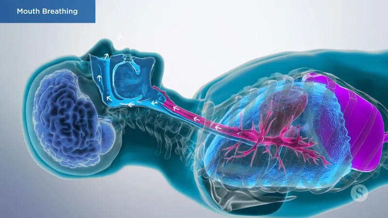 A video still - a person laying down with arrows showing airflow through the throat and nose.