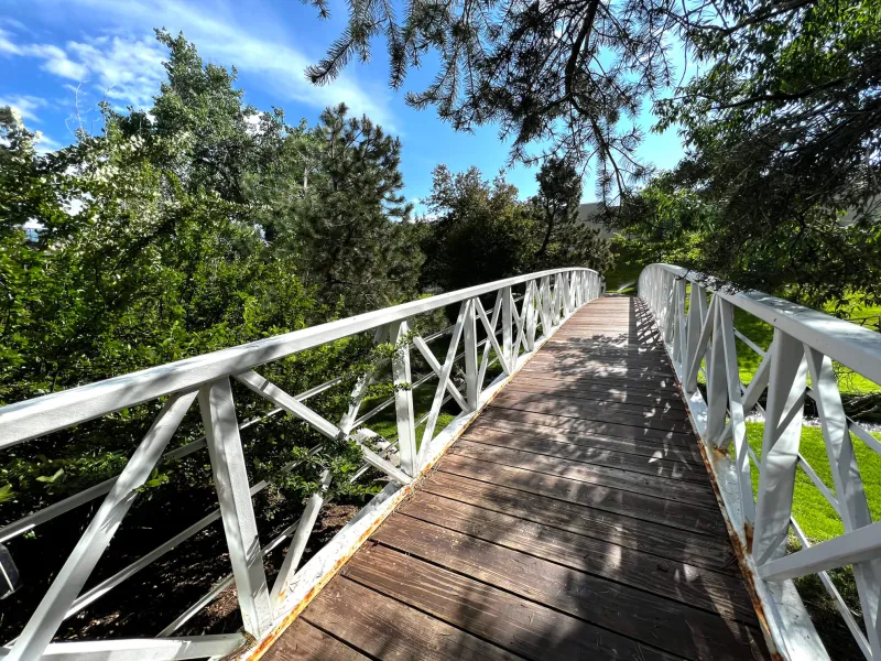 A bridge with white railings surrounded by trees